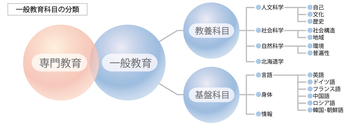 専門教育を主とする学科